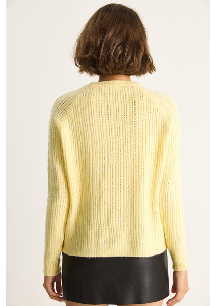 Kadın Desenli Triko Kazak