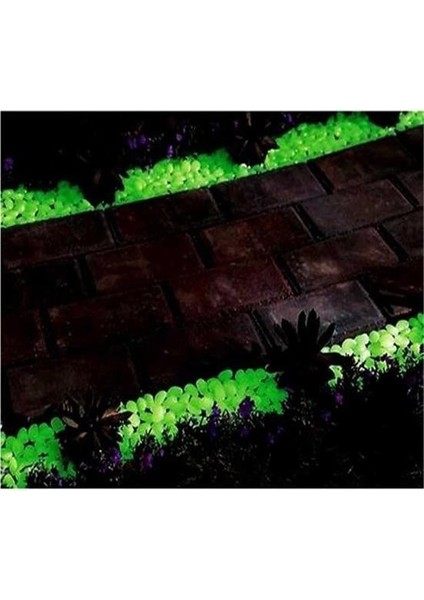 Buffer® Gece Karanlıkta Işık Vererek Parlayan Dekoratif Çakıl Taşları