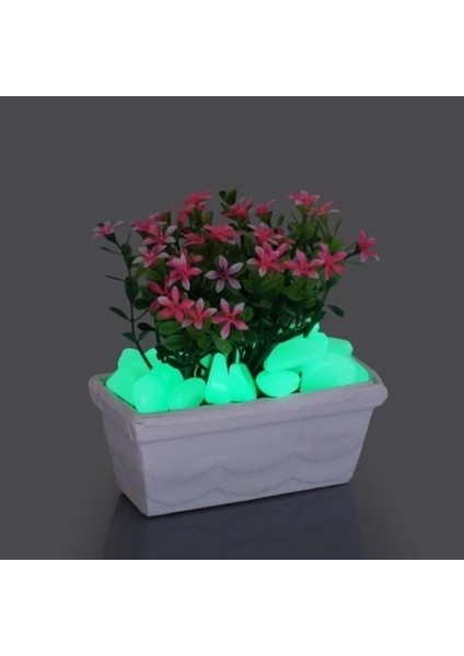 Buffer® Gece Karanlıkta Işık Vererek Parlayan Dekoratif Çakıl Taşları