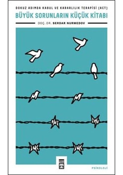 Büyük Sorunların Küçük Kitabı