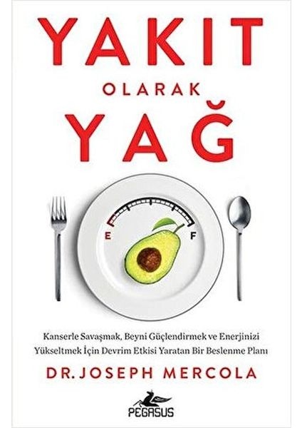Yakıt Olarak Yağ