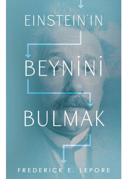Eınsteın’ın Beynini Bulmak