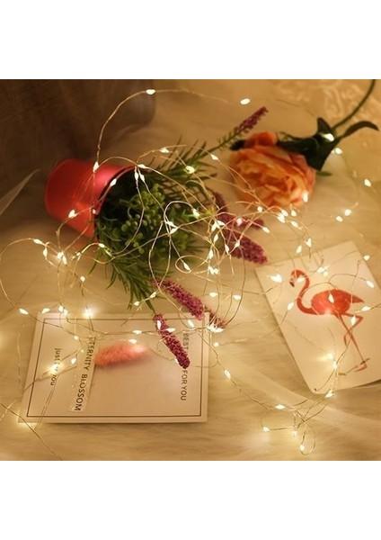 Buffer® Yılbaşı ve Özel Konsept Dekorasyon 5 mt USB Bağlantılı LED Işık