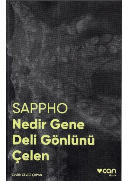 Nedir Gene Deli Gönlünü Çelen (Fotoğraflı Klasikler)