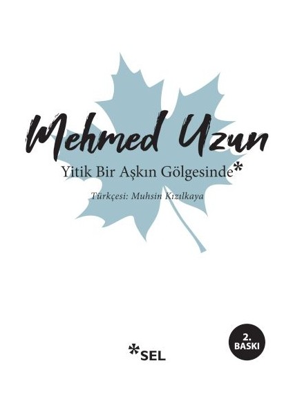 Yitik Bir Aşkın Gölgesinde