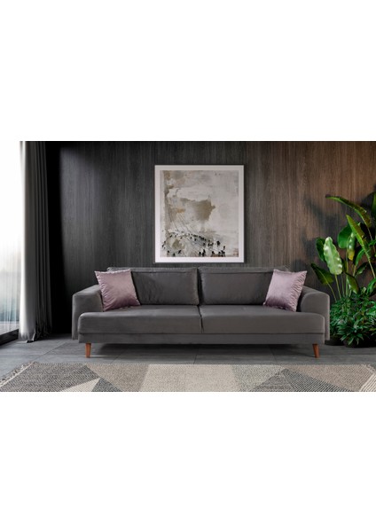 Bisno Yataklı Kanepe Babyface Frezya