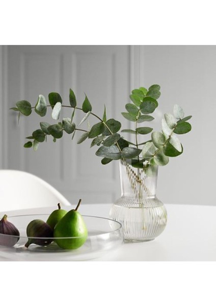 Şeffaf 17 cm Dekoratif Cam Vazo ve Karaf Seti Beyaz fiyatları