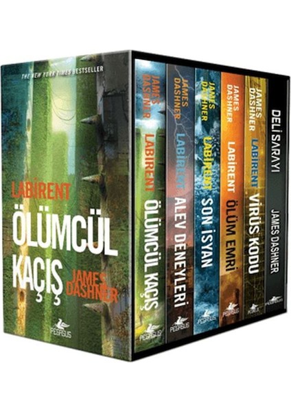 Labirent Serisi Kutulu Set (6 Kitap)