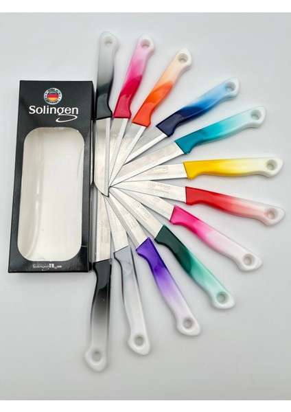 12'li Ebruli Meyve Bıçak Takımı, Renkli ve Şık Tasarım