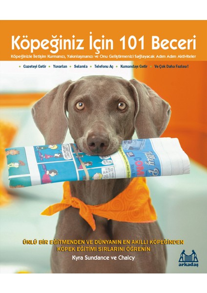 Köpeğiniz Için 101 Beceri - Adım Adım Aktiviteler