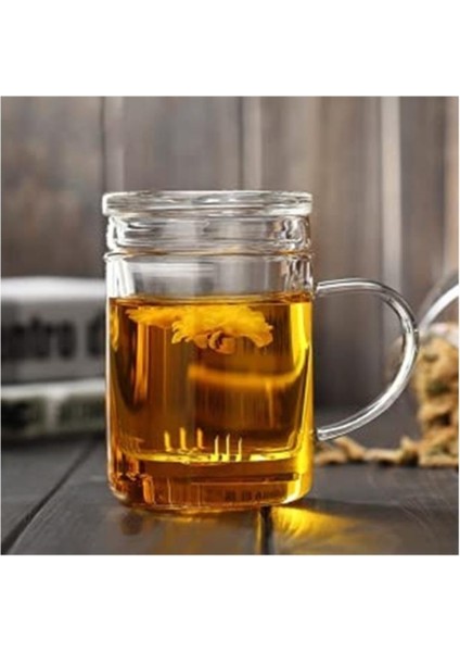 Isıya Dayanıklı Borosilikat Cam Kupa Bardak, 350 Ml, Cam Kapaklı ve Demleme Süzgeçli modelleri