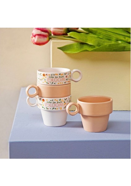 Renkli 4'lü Espresso Fincan Seti, Şık ve Kullanışlı Tasarım modelleri