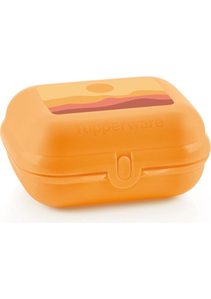 Turuncu Büyük Yemek Taşıma Kabı, Pratik ve Şık Tasarım fiyatları