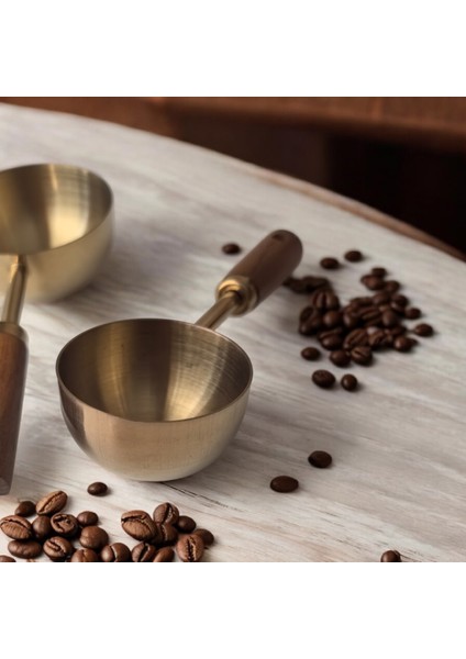 4'lü Ahşap Saplı Paslanmaz Çelik Ölçü Kaşığı Takımı fiyatları