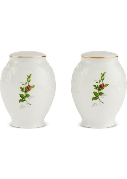 Vintage Rose 7 cm Tuzluk Biberlik Seti, Şık ve Zarif Tasarım indirimleri