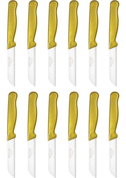 12'li Parlak Simli Meyve Bıçak Seti, Şık ve Kullanışlı Mutfak Araçları