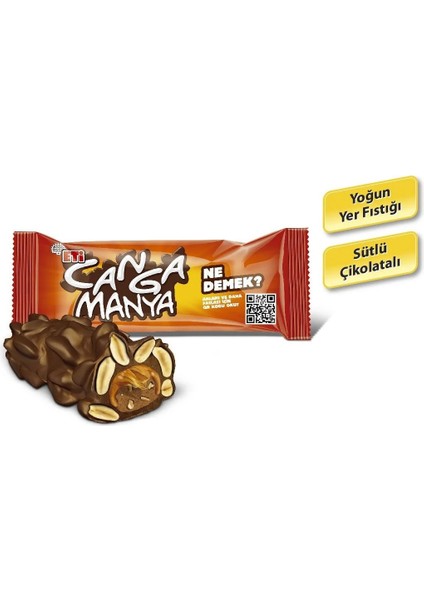 Lezzet Paketi - Canga-Karam-Browni Intense 30 Lu Karma Paket modelleri