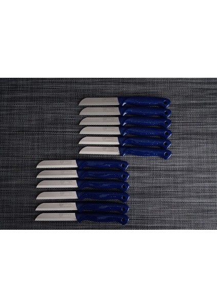 Simli Lacivert Meyve Bıçakları 12'li Set, Şık ve Dayanıklı Tasarım