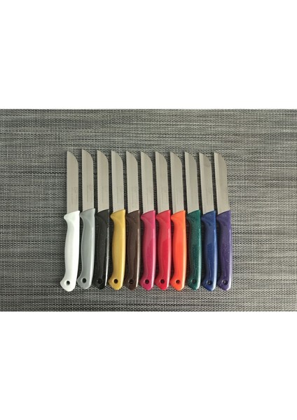 Simli Lacivert Meyve Bıçakları 12'li Set, Şık ve Dayanıklı Tasarım modelleri