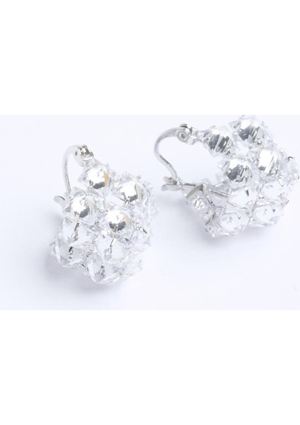 Gümüş Rengi Işıltılı Taş Detaylı Küpe fiyatları