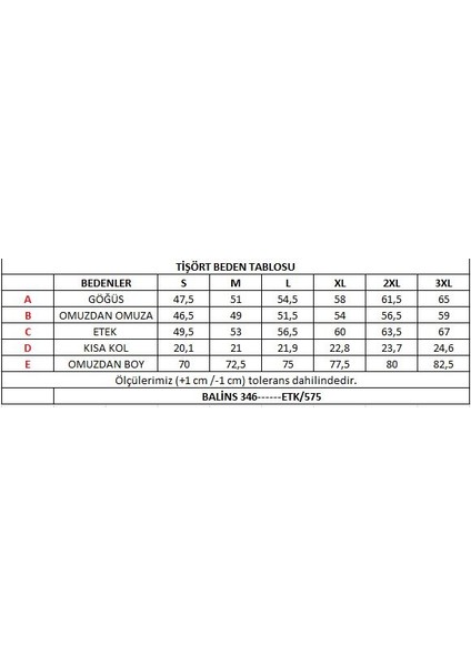 Erkek Kısa Kollu V Yaka Tişört modelleri