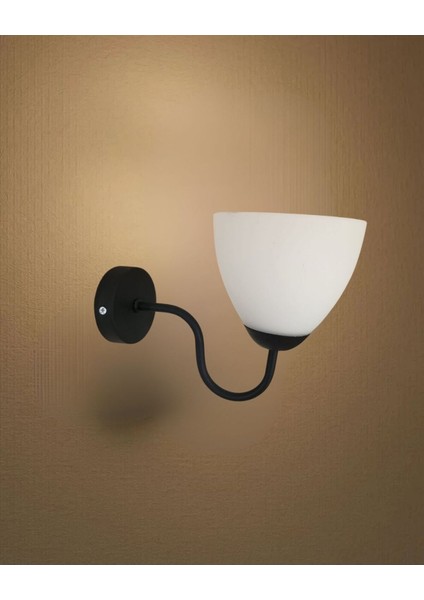 Delta Kollu Betül Camlı Aplik