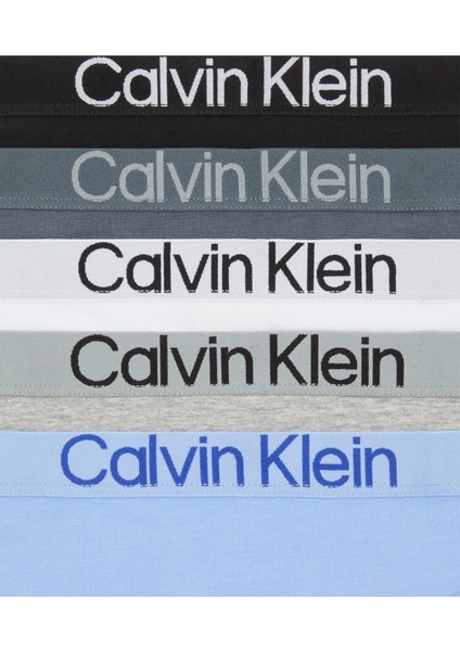 Calvın Kleın Kadın Marka Logolu Elastik Bantlı Günlük Kullanıma Uygun 5 Farklı Renk Külot LV00QD5332 31G fiyatları