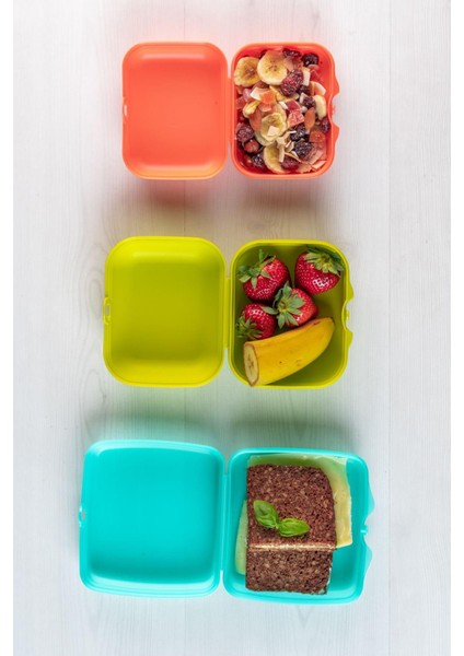 Limon Yeşil Büyük Taşıma Kabı 550 Ml, Pratik ve Şık Tasarım fırsatları