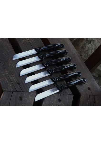 12'li Tırtıklı ve Simli Meyve Sebze Bıçakları Seti, Pratik ve Şık Tasarım