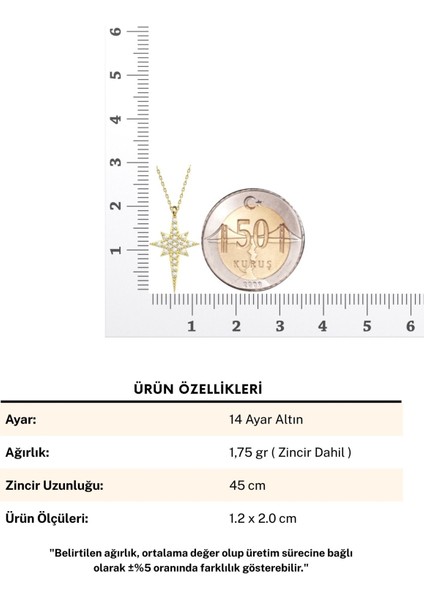 Küçük Kutup Yıldızı 14 Ayar Altın Kolye fırsatları