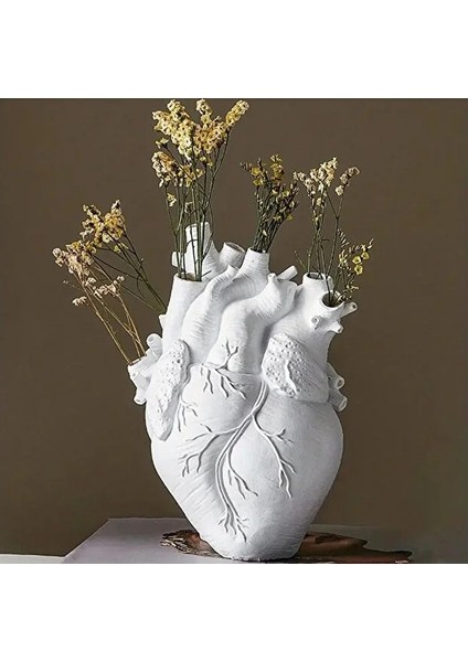 Anatomik Kalp Vazo fırsatları