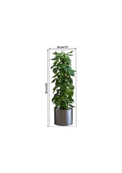 Bfs Saksılı Bitki Tasarımlı Yapışkanlı Sticker Resim 90*30 cm MC-665 fırsatları