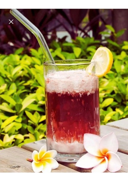 Şeffaf Cam Pipet 12'li Cam Eğimli Pipet (Isıya Dayanıklı) fırsatları