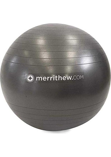 Health & Fitness Stability Ball™ - 75CM, With Pump (Gray) ST-06208