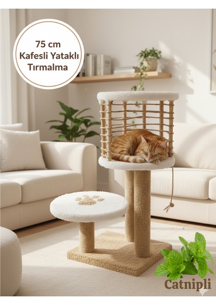 🐾 Catnipli 75 cm Kafesli Yataklı Kedi Tırmalama Tahtası – Tüm Kediiler Için Uygun, Konforlu Uyku Alanı ve Sağlam Tırmalama Sütunları ile Oyun ve Dinlenme Alanı – Ev Dekoruna Uyumlu Modern Tasarım