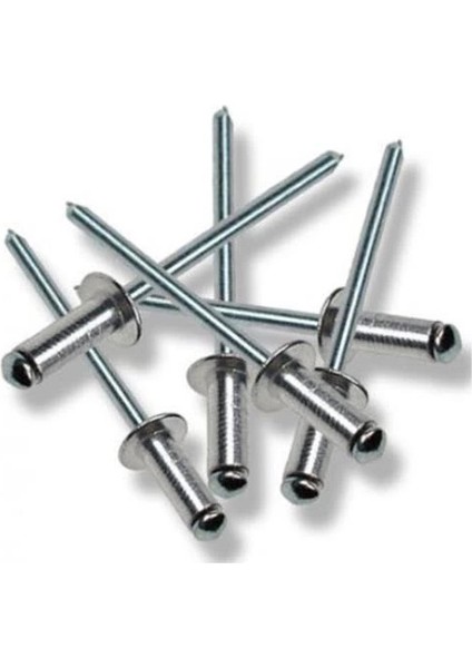 Perçin Pop 4X10 mm (10 Adet)