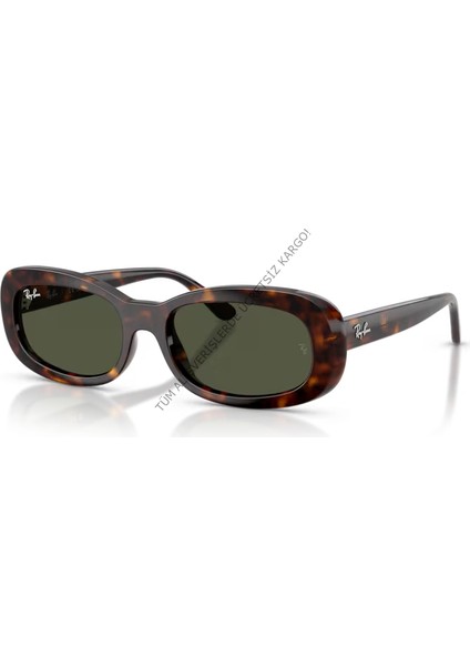 Rayban 0RB2221 902/31 56 Unisex Günes Gözlük fiyatları