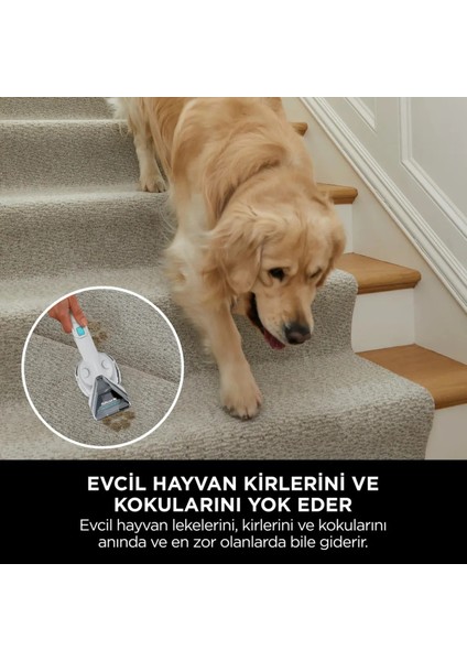 Taşınabilir Halı ve Koltuk Temizleme Cihazı, Çok Renkli, Pratik ve Etkili Kullanım fırsatları