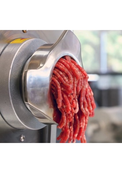 4 mm Metal Süzgeç Kıyma Makinesi Aynası, Doğan Çiftel No 12, Dayanıklı ve Kullanışlı fırsatları