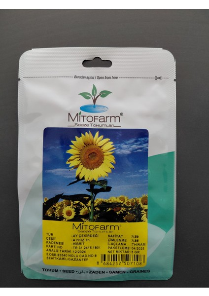 Ayçekirdeği Tohumu