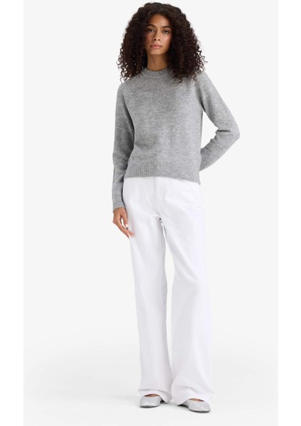 Regular Fit Bisiklet Yaka Basic Düz Soft Touch Yumuşak Triko Kazak D8678AX25WN fiyatları