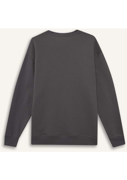 Relax Fit Bisiklet Yaka Kalın İçi Yumuşak Tüylü Basic Düz Sweatshirt T5139AZ25AU modelleri