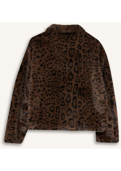 Regular Fit Leopar Desenli Kısa Suni Kürk F2924AX25WN