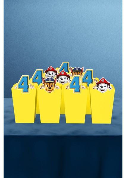 Paw Patrol Temalı 4 Yaş 10'lu Mısır Kutusu