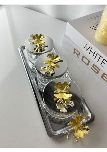 Gümüş Renk 3'lü Cam Kapaklı Çerezlik ve Baharatlık Seti