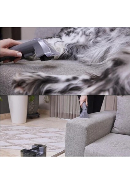 Güçlü 400W Spot Temizleme Cihazı, Koltuk ve Halı Bakımı Için Ideal modelleri