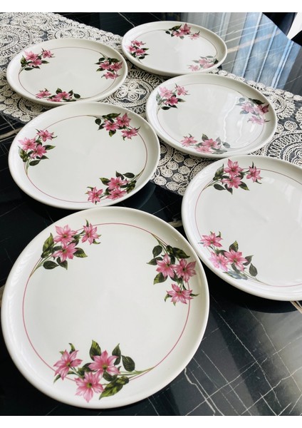 Pembe 6'lı Servis ve Pasta Tabağı Seti, Şık ve Kullanışlı Tasarım fiyatları