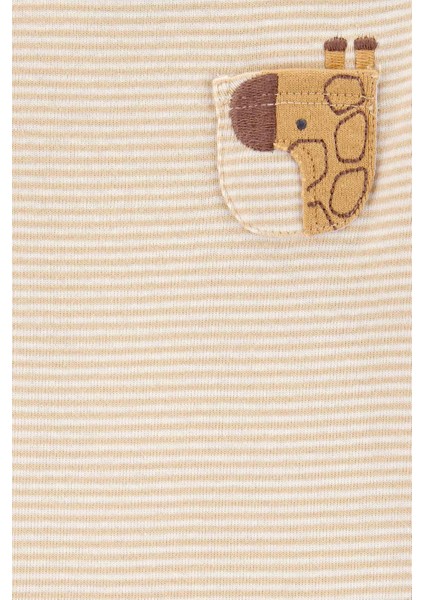 Bebek Uzun Kollu 4lü Body modelleri