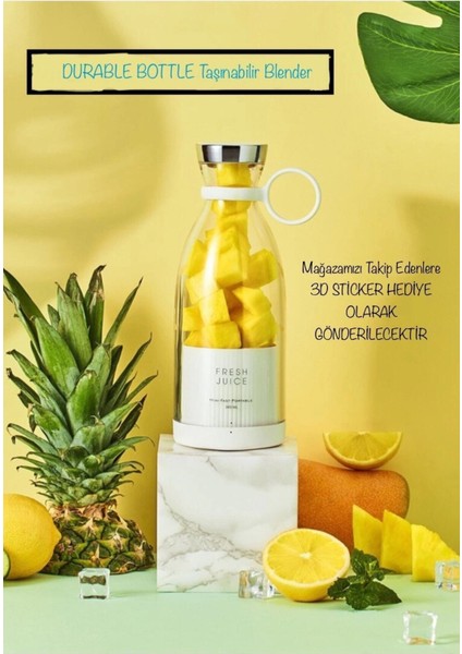 Taşınabilir 350 ml Mini Meyve Karıştırıcı ve Smoothie Blender, Beyaz