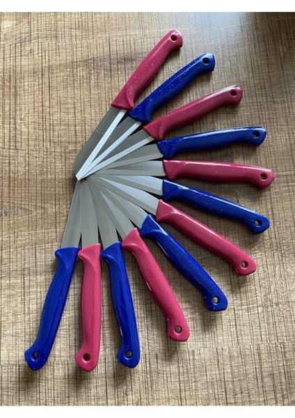 12'li Meyve Bıçak Seti, Pratik ve Şık Mutfak Gereçleri